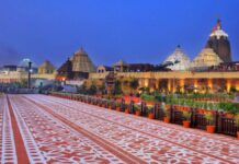 Ratna Bhandar panel’s chairperson in 4 weeks, Govt informs HC