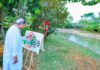 Anandabana: Naveen inaugurates urban forest in Bhubaneswar